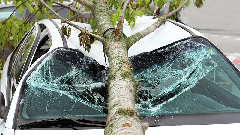 Votre assurance auto intervient-elle pour les dégâts dus à la tempête ?